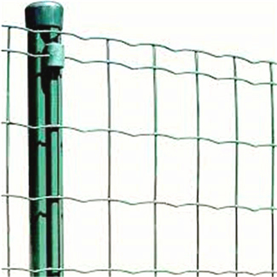 OD 60mm * 1.5mm Màu xanh lá cây PVC tráng Lưới hàn lưới Hà Lan