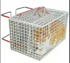 Lưới thép ngoài trời 2 mm kim loại bọc nhựa PVC lồng trưng bày vật nuôi mạ kẽm
