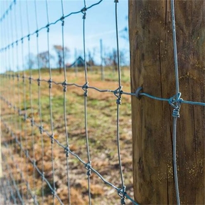 Hàng rào lưới thép mạ kẽm ISO9001 200m / cuộn