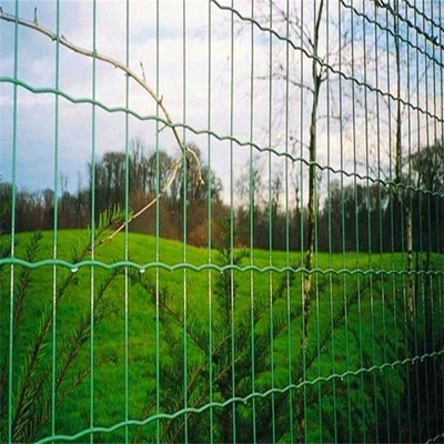 TLWY PVC tráng PVC Hàng rào lưới hàn 9,0mm Hàng rào Hà Lan